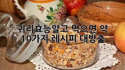 귀리효능🌾알고 먹으면 약! 10가지 레시피 대방출👩‍🍳