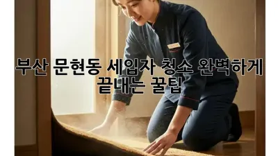 부산 문현동 세입자 청소🧹 완벽하게 끝내는 꿀팁! ✨