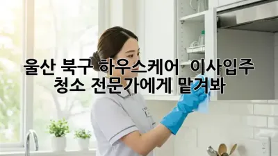 울산 북구 하우스케어 ✨ 이사/입주 청소, 전문가에게 맡겨봐!