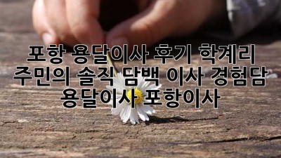 포항 용달이사 후기🚚 학계리 주민의 솔직 담백 이사 경험담! #용달이사 #포항이사