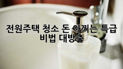 전원주택 청소🧹, 돈 아끼는 특급 비법💰 대방출!